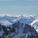 Chardonnet Eperon Migot-05